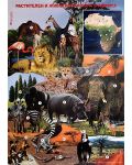 Растителен и животински свят в Африка (учебно табло) - 1t