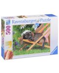 Пъзел Ravensburger от 500 части - Сладко кученце - 1t