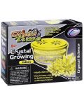 Твочески комплект Eastcolight - Растящи кристали, Жълт - 1t