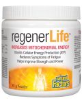 RegenerLife Increases Mitochondrial Energy, 81 g, Natural Factors - 1t