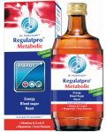 Regulatpro Metabolic, 350 ml, Dr. Niedermaier Pharm - 1t
