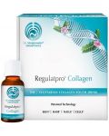 Regulatpro Collagen, 20 флакона х 20 ml, Dr. Niedermaier Pharm - 1t