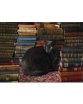 Пъзел Cobble Hill от 1000 части - Библиотечна котка - 2t