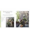 RHS Practical House Plant Book: Choose The Best, Display Creatively, Nurture and Care, 175 Plant Profiles - 4t