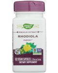 Rhodiola, 250 mg, 60 капсули, Nature's Way - 1t