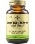 Saw Palmetto Berry Extract, 60 растителни капсули, Solgar - 1t