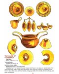 Съкровищата на България. Оцветяване, рисуване, любопитни факти / Bulglarian treasures. Colouring, painting, curious facts - 8t