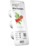 Семена Click and Grow - Мини домати, 3 пълнителя - 1t