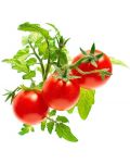 Семена Click and Grow - Мини домати, 3 пълнителя - 2t