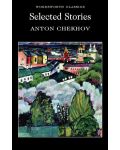 Selected Stories Chekhov - 1t