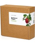 Семена Click and Grow - Червен сладък пипер, 3 пълнителя - 5t