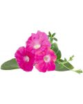 Семена Click and Grow - Розова петуния, 3 пълнителя - 2t