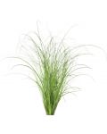 Семена Click and Grow - Декоративна трева, 3 пълнителя - 2t
