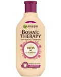 Garnier Botanic Therapy Шампоан с рициново масло и бадем, 250 ml - 1t