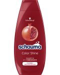 Schauma Шампоан Color Shine, 400 ml - 1t