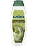 Palmolive Naturals Шампоан Long & Shine, Olive, 350 ml - 1t