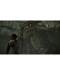 Shadow of the Colossus (PS4) - 10t