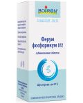 Шуслерова сол №3 Ферум фосфорикум D12, 80 таблетки, Boiron - 2t