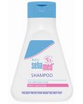 Шампоан за деца Sebamed Baby, 250 ml - 1t