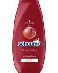 Schauma Шампоан Color Shine, 250 ml - 1t