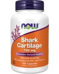 Shark Cartilage, 100 капсули, Now - 1t