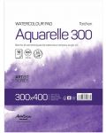 Скицник Drasca - Aquarelle Torchon 300, 30 x 40 cm, 10 листа - 1t