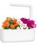 Смарт саксия Click and Grow - Smart Garden 3, 8W, бяла - 4t