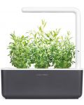 Смарт саксия Click and Grow - Smart Garden 3, 8 W, сива - 8t