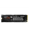 SSD хард диск SAMSUNG 960 EVO M.2 TYPE2280 250GB - 2t