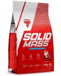 Solid Mass, ягода, 1000 g, Trec Nutrition - 1t