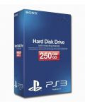 Sony PlayStation 3 250GB Hard Disk Drive - 1t