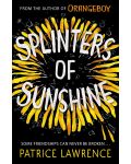 Splinters of Sunshine - 1t