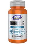 Sports Tribulus, 500 mg, 100 капсули, Now - 1t