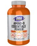 Sports Amino-9 Essentials Powder, 330 g, Now - 1t