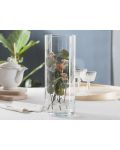 Стъклена ваза ADS - Edwanex, 40 x 15 cm - 2t