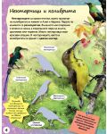 Стикерна енциклопедия „Изследовател“: Цветовете на природата - 4t