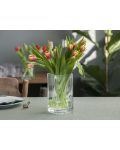 Стъклена ваза ADS - Edwanex, 20 x 10 x 10 cm - 2t