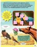 Стикерна енциклопедия „Изследовател“: Как общуват животните - 3t