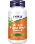 Stinging Nettle Root Extract, 90 капсули, Now - 1t