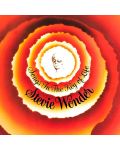 Stevie Wonder - Songs In The Key Of Life (3 Vinyl) - 1t