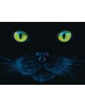 Пъзел SunsOut от 1000 части - Черна котка, Чарлс Лин Браг - 1t
