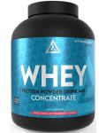Whey Protein Concentrate, бял шоколад с ягода, 2000 g, Lazar Angelov Nutrition - 1t