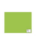 Картон Apli - Светло зелен, 50 х 65 cm - 1t