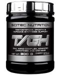 T/GH, ванилова череша, 300 g, Scitec Nutrition - 1t