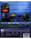 Невероятният Коралов риф: Тайнствени подводни светове 3D (Blu-Ray) - 2t