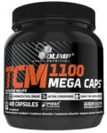 TCM 1100 Mega Caps, 1100 mg, 400 капсули, Olimp - 1t