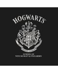 Тениска ABYstyle Movies: Harry Potter - Hogwarts - 2t