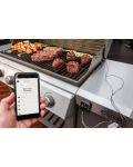 Термометърът за храна Weber - iGrill3, Bluetooth, 2 сонди - 5t