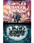 Teenage Mutant Ninja Turtles x Stranger Things - 1t