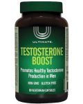 Ultimate Testosterone Boost, 60 капсули, Natural Factors - 1t